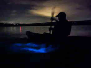Bioluminescentie kayakken